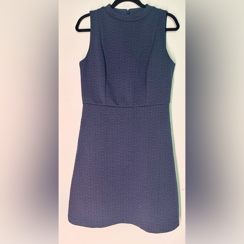 LOFT Blue Textured Dress
